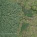 Pemandangan ladang ganja di Gunung Semeru melalui drone. (foto/Balai Besar TNBTS)